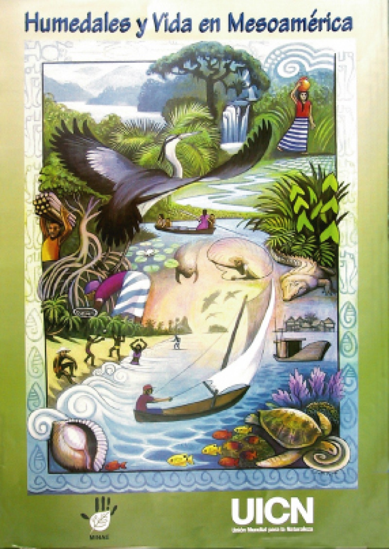 Wetland Poster 1999